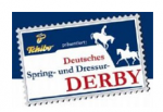 Hamburg Derby