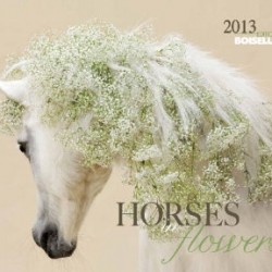 Horses in Flowers 2013